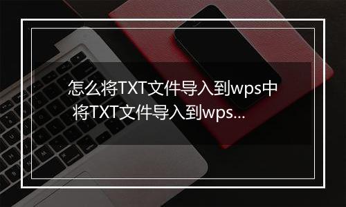 怎么将TXT文件导入到wps中 将TXT文件导入到wps中的具体...
