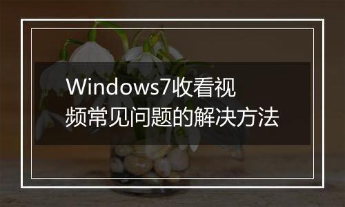 Windows7收看视频常见问题的解决方法