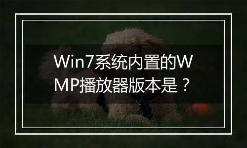 Win7系统内置的WMP播放器版本是？