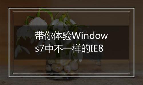 带你体验Windows7中不一样的IE8