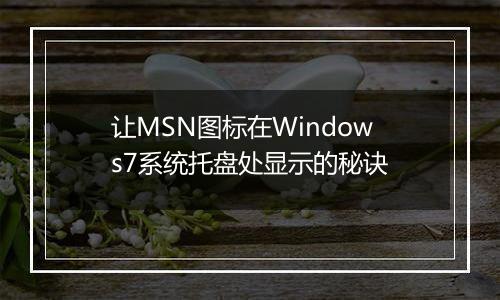 让MSN图标在Windows7系统托盘处显示的秘诀