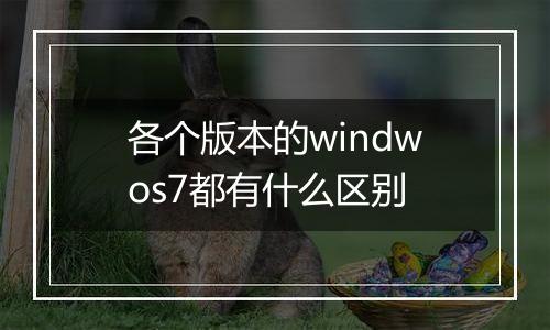 各个版本的windwos7都有什么区别