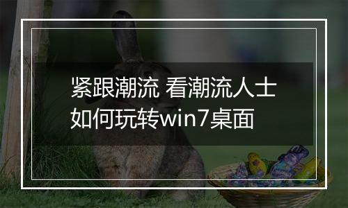 紧跟潮流 看潮流人士如何玩转win7桌面