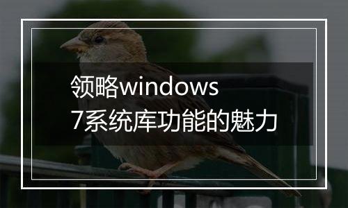 领略windows7系统库功能的魅力
