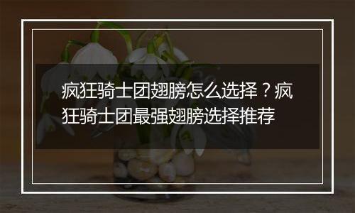 疯狂骑士团翅膀怎么选择？疯狂骑士团最强翅膀选择推荐