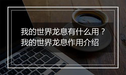 我的世界龙息有什么用？我的世界龙息作用介绍