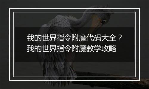 我的世界指令附魔代码大全？我的世界指令附魔教学攻略