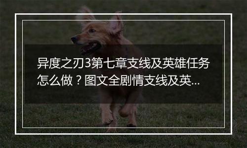 异度之刃3第七章支线及英雄任务怎么做？图文全剧情支线...