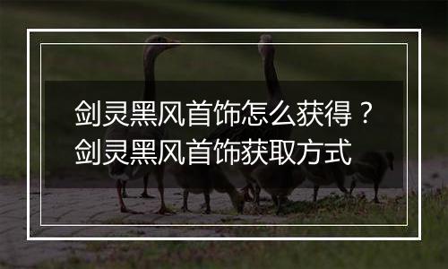 剑灵黑风首饰怎么获得？剑灵黑风首饰获取方式
