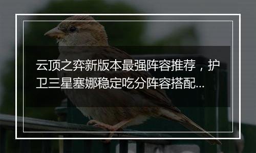 云顶之弈新版本最强阵容推荐，护卫三星塞娜稳定吃分阵...