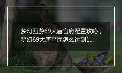梦幻西游69大唐官府配置攻略，梦幻69大唐平民怎么达到...