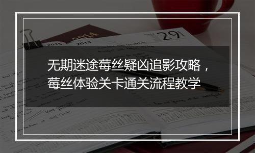 无期迷途莓丝疑凶追影攻略，莓丝体验关卡通关流程教学