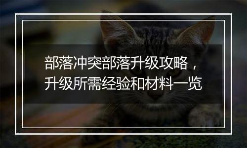 部落冲突部落升级攻略，升级所需经验和材料一览